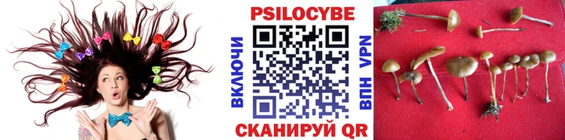 Псилоцибиновые грибы мицелий  Мелеуз 