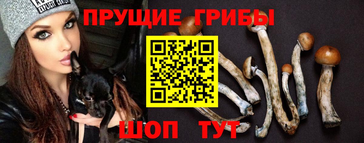 Codein  Alpha PVP СК кристаллы  Мелеуз  МЕФ   ГАШ  Конопля  АМФ кристаллы 